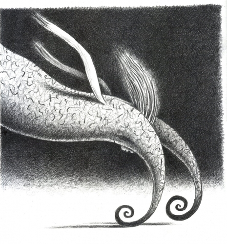 Altri disegni « De Bestiarum Naturis e altri disegni