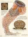 http://www.animationarchive.org/pics/nature03-big.jpg