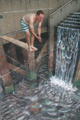 http://users.skynet.be/J.Beever/images/waterfall.jpg