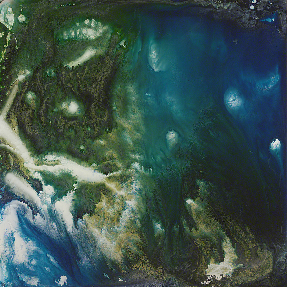 http://www.keithtyson.com/sections/naturepaintings/sections/examples/assets/images/xl/11840.jpg