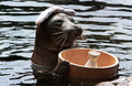 Scenes from the zoo - The Big Picture - Boston.com
