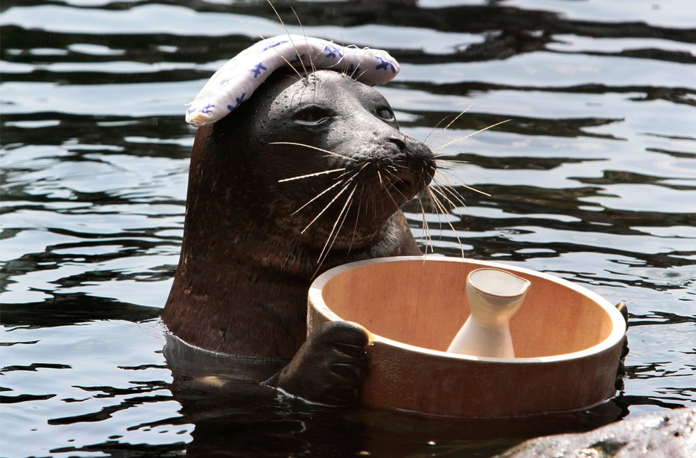 Scenes from the zoo - The Big Picture - Boston.com