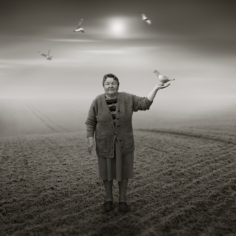 .Dreams. on the Behance Network