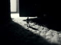 Flickr Photo Download: Desaparecido.