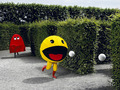 Jump `N` Run :: Photography Served