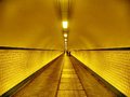 Flickr Photo Download: Endless