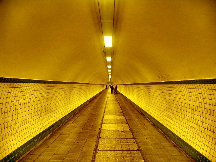 Flickr Photo Download: Endless