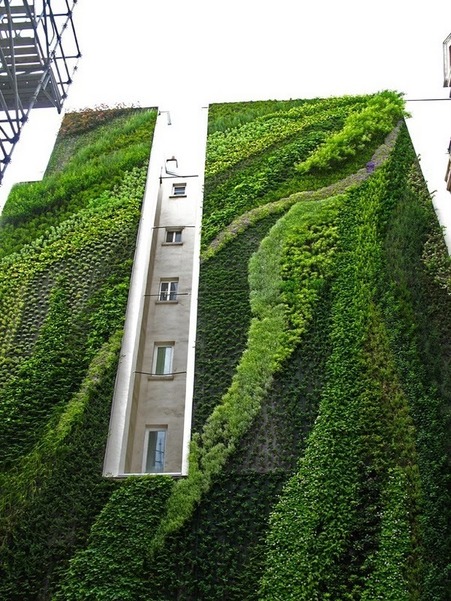 http://lh6.ggpht.com/-OOHZNIlWBBk/TejxLpMjo0I/AAAAAAAAE44/trLbejU74D8/vertical%252520garden%252520by%252520patrick%252520blanc%2525203%25255B7%25255D.jpg?imgmax=800