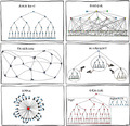 org chart