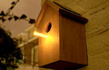 oooms solar bird house, solar powered perch, solar perch birds, birdhouse solar