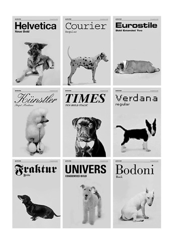 If Fonts Were Dogs

(via janicemomoko)

This really hits home since I just brought home a rambunctious young Fraktur of my own.