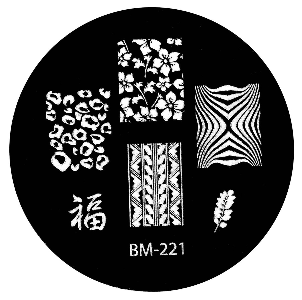 bm-221